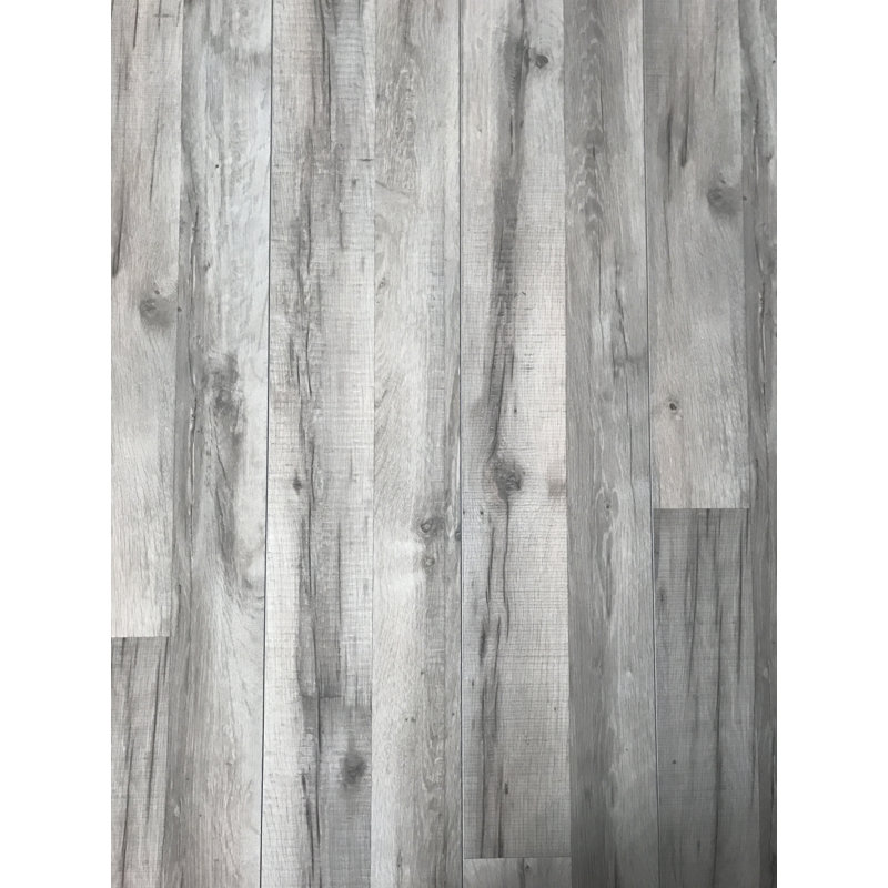 Elesgo Floor Usa 8 X 52 X 10mm Oak Laminate Flooring Wayfair