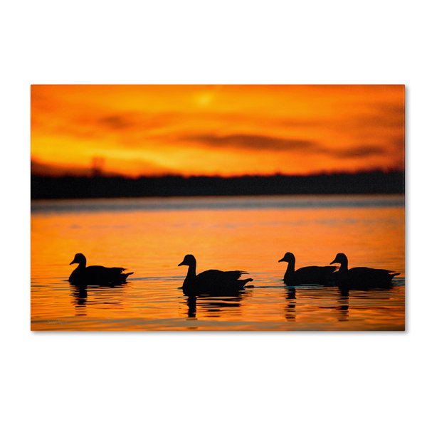 Trademark Art Jamaica Bay Sunset Nyc Ii By David Ayash Photographic Print On Wrapped Canvas Wayfair