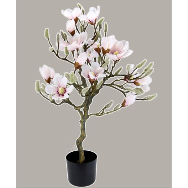 The Seasonal Aisle Faux Magnolia Tree in Planter | Wayfair.co.uk