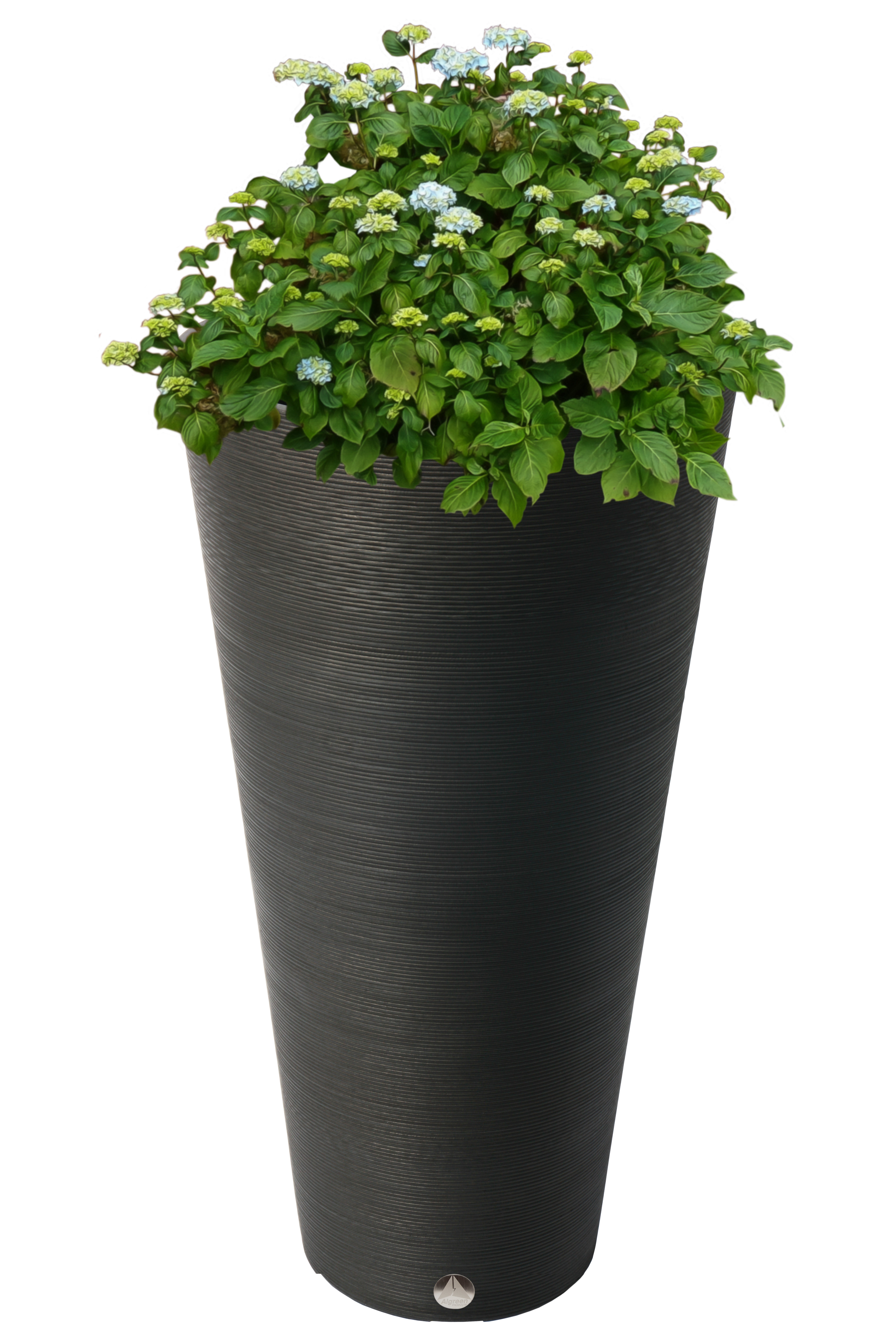 wayfair balcony planters on Ebern Designs Taio 2 Piece Composite Pot Planter Set Wayfair