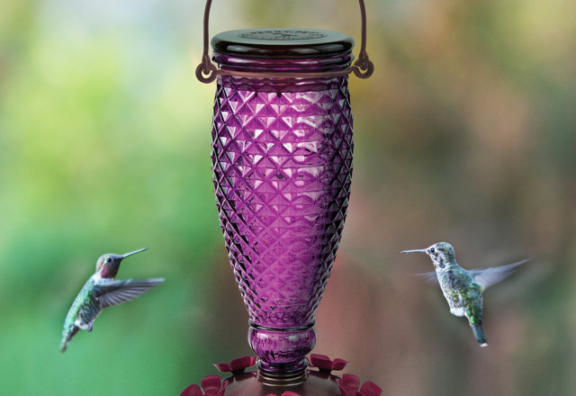 Our Best Hanging Bird Feeders