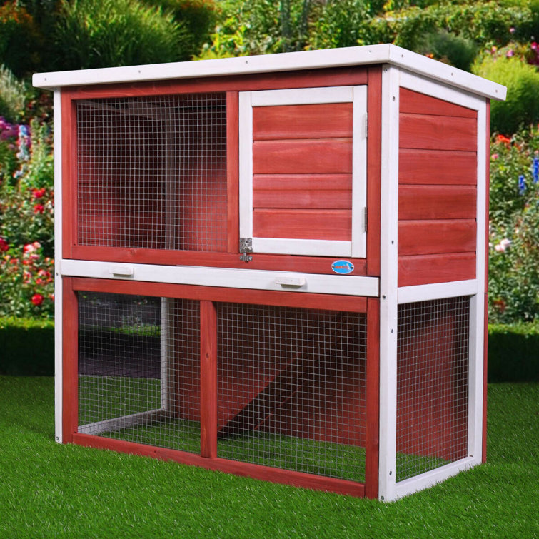 wayfair small animal cage
