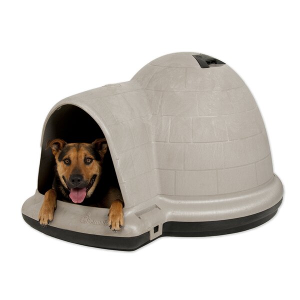 Petmate Taupe Plastic Igloo Style Dog House & Reviews | Wayfair