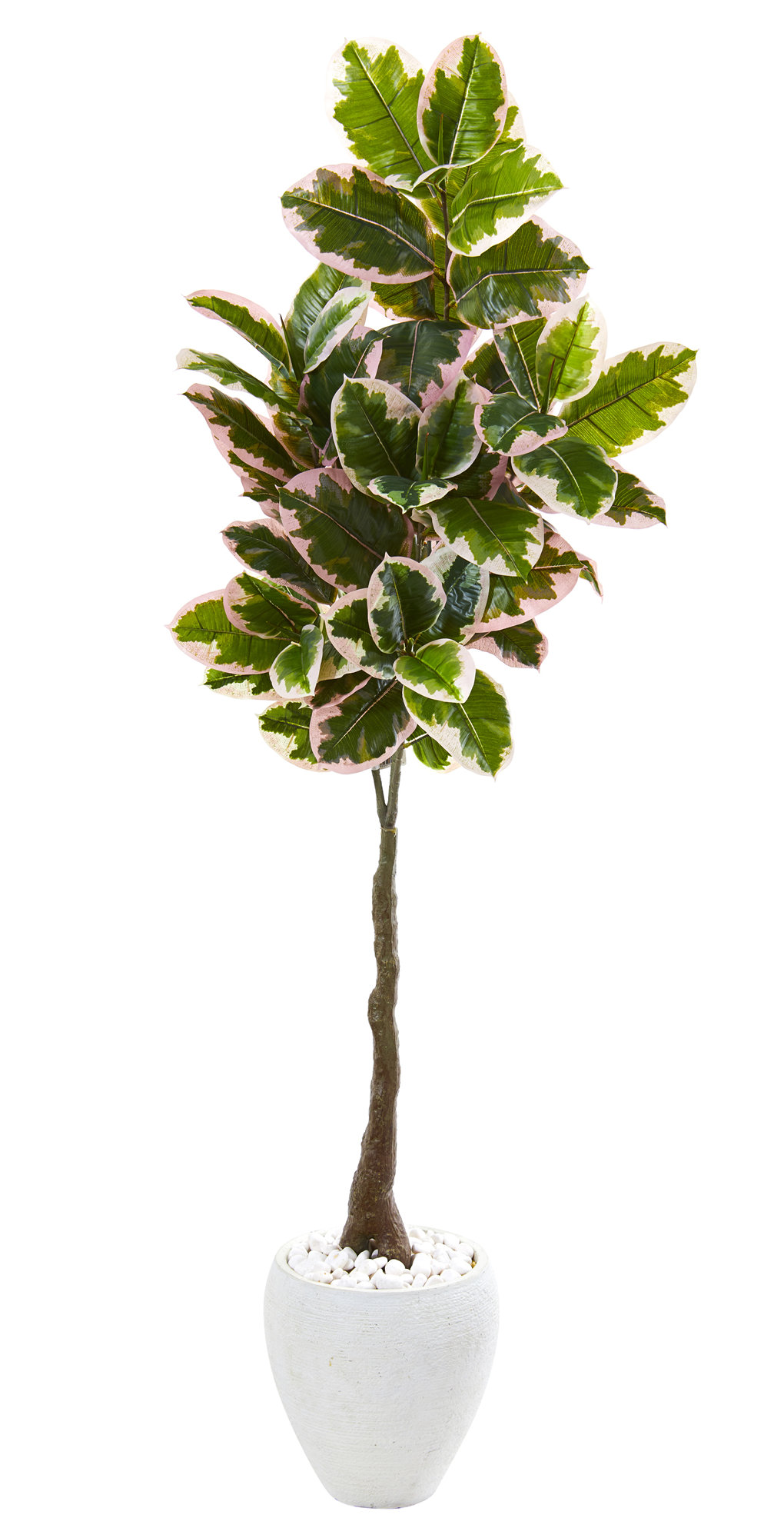 Alcott Hill® Artificial Rubber Leaf Tree in Pot Wayfair