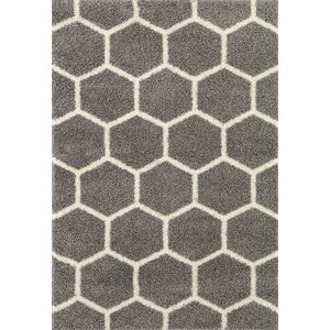 Klingensmith Honeycomb Shag Gray Area Rug