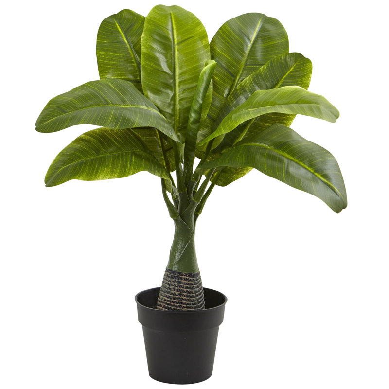 Bay Isle Home 12.75" Artificial Banana Leaf Plant in Pot ...