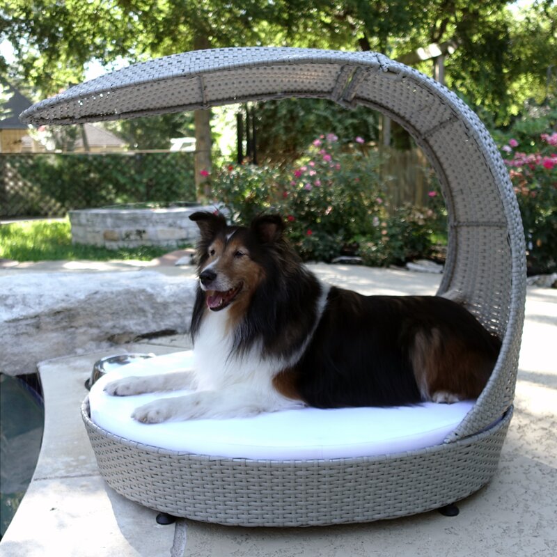 Clara Outdoor Hooded Dog Bed \u0026 Reviews 