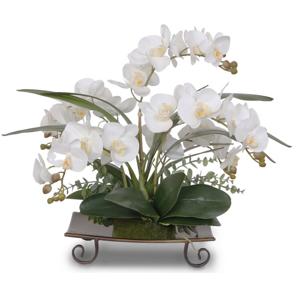 Fake White Orchids Wayfair Ca