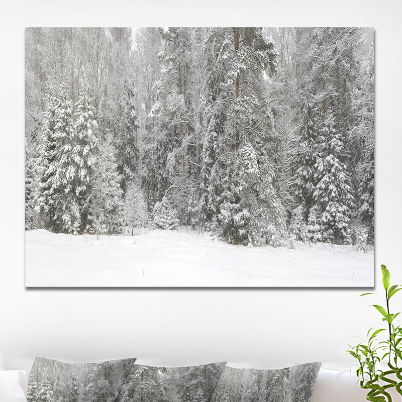 'Foggy Winter Forest Panorama' Photographic Print on Wrapped Canvas Size: 12" H x 20" W x 1" D