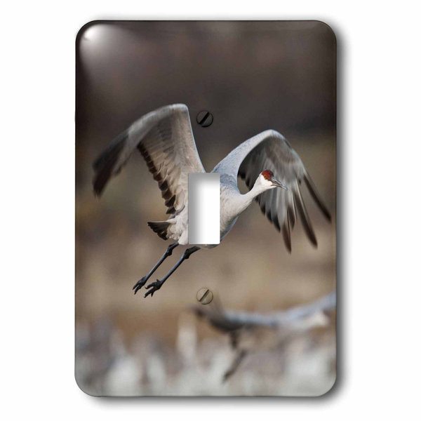 Sandhill Crane Wayfair