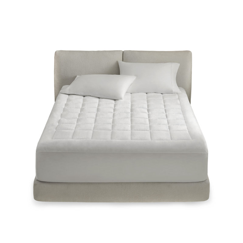 Cloud Soft Overfilled Plush Waterproof Mattress Pad Bed Size: Queen