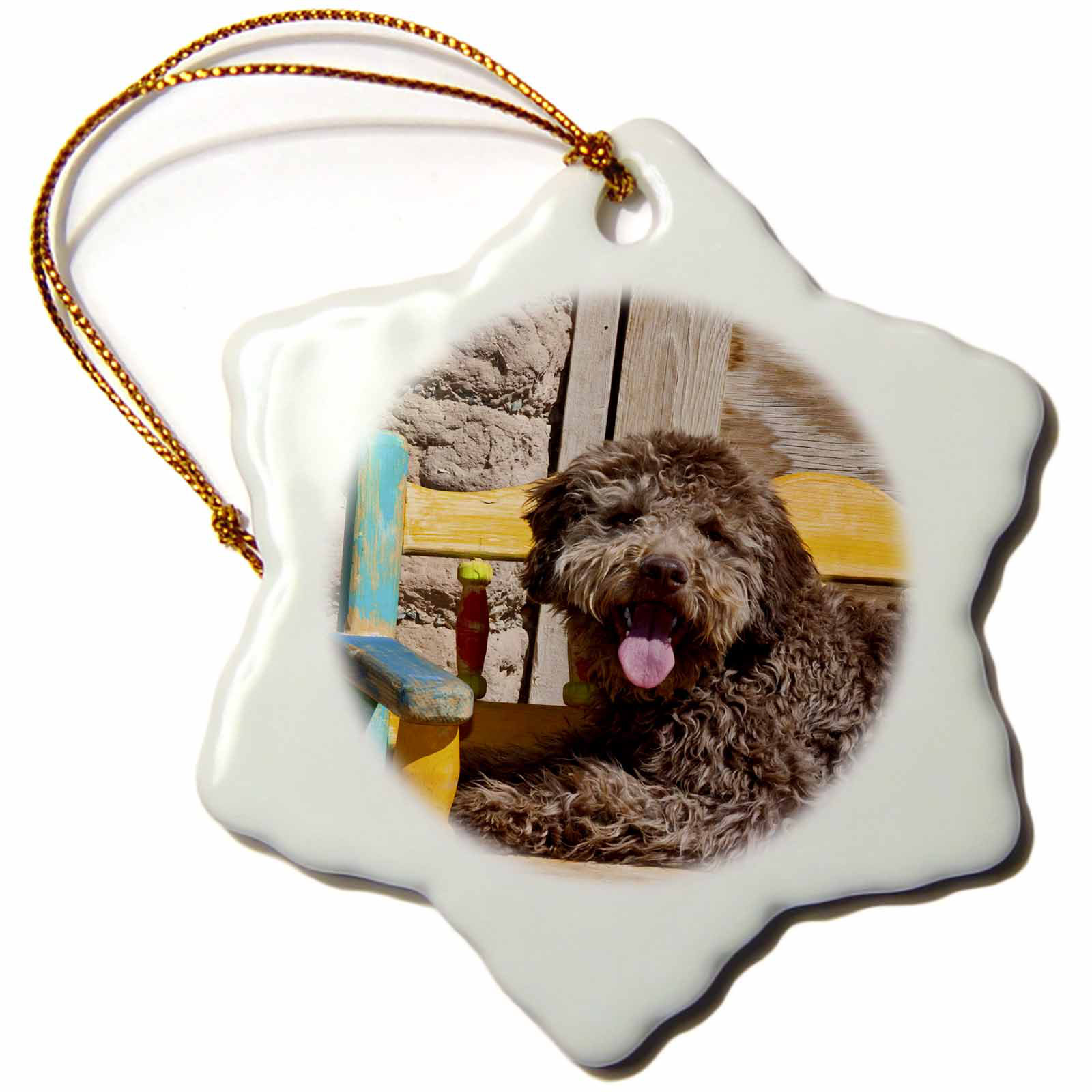 The Holiday Aisle Lagotto Romagnolo Lying On A Wooden Bench Snowflake Holiday Shaped Ornament Wayfair