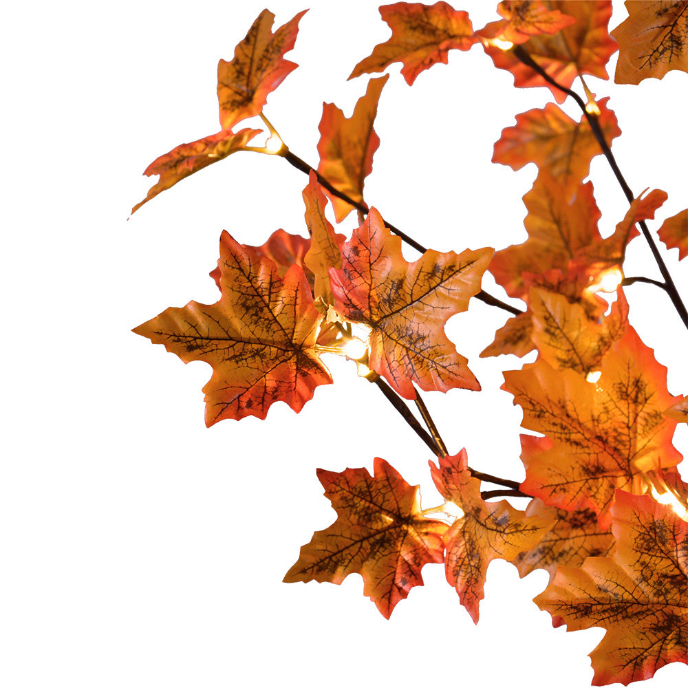 The Holiday Aisle® Lighted Christmas Tree & Reviews Wayfair