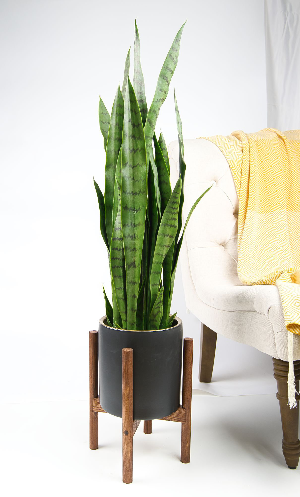 wayfair standing planter on George Oliver Dunwoody Ceramic Pot Planter Reviews Wayfair