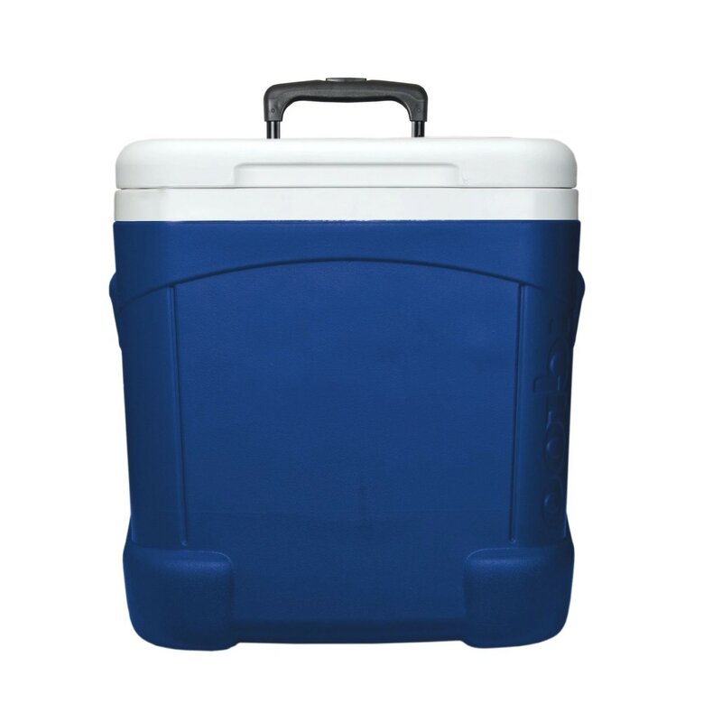 Igloo 60 Qt. Ice Cube Roller Cooler & Reviews | Wayfair