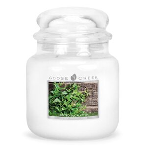 Essential Series Minted Eucalyptus Scented Jar Candle