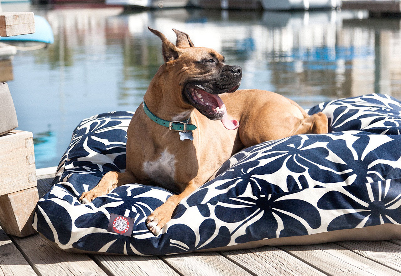 ruff and tuff dog bed
