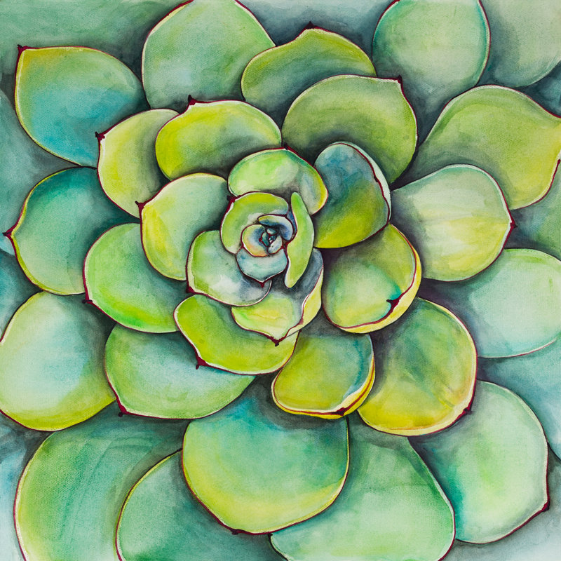 Bungalow Rose Succulent Plant Oil Painting Print On Wrapped