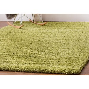 Hasse Plush Solid Green Area Rug