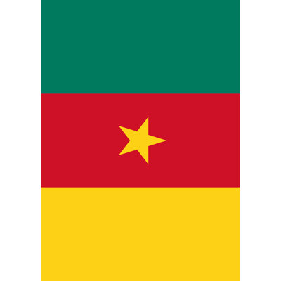 Cameroon Garden flag Toland Home Garden