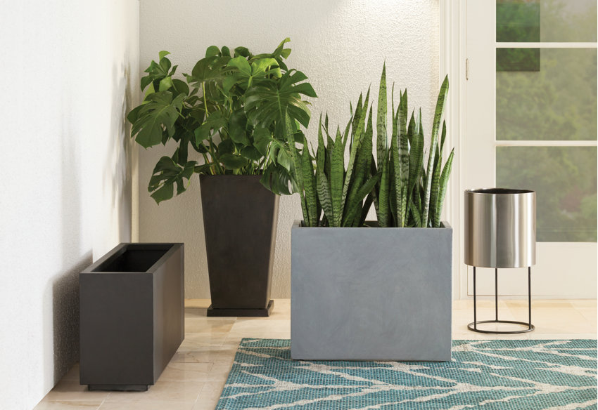 Planters You Ll Love In 2020 Wayfair