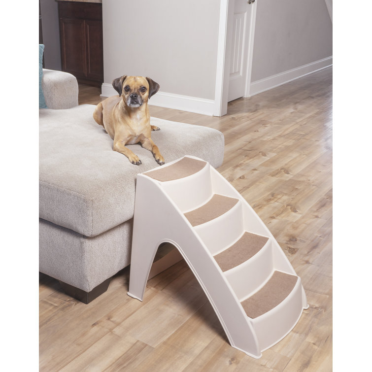 solvit pup steps