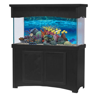 Fish Tanks Aquariums You Ll Love In 2019 Wayfair Ca