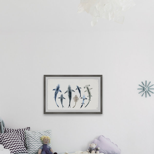 Isabelle Max Chalfant Shark Types Ii Framed Art Wayfair