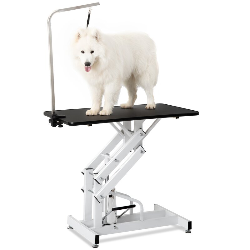 large dog grooming