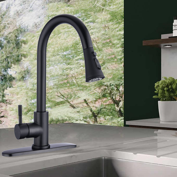 Wide Set Kitchen Faucet Wayfair