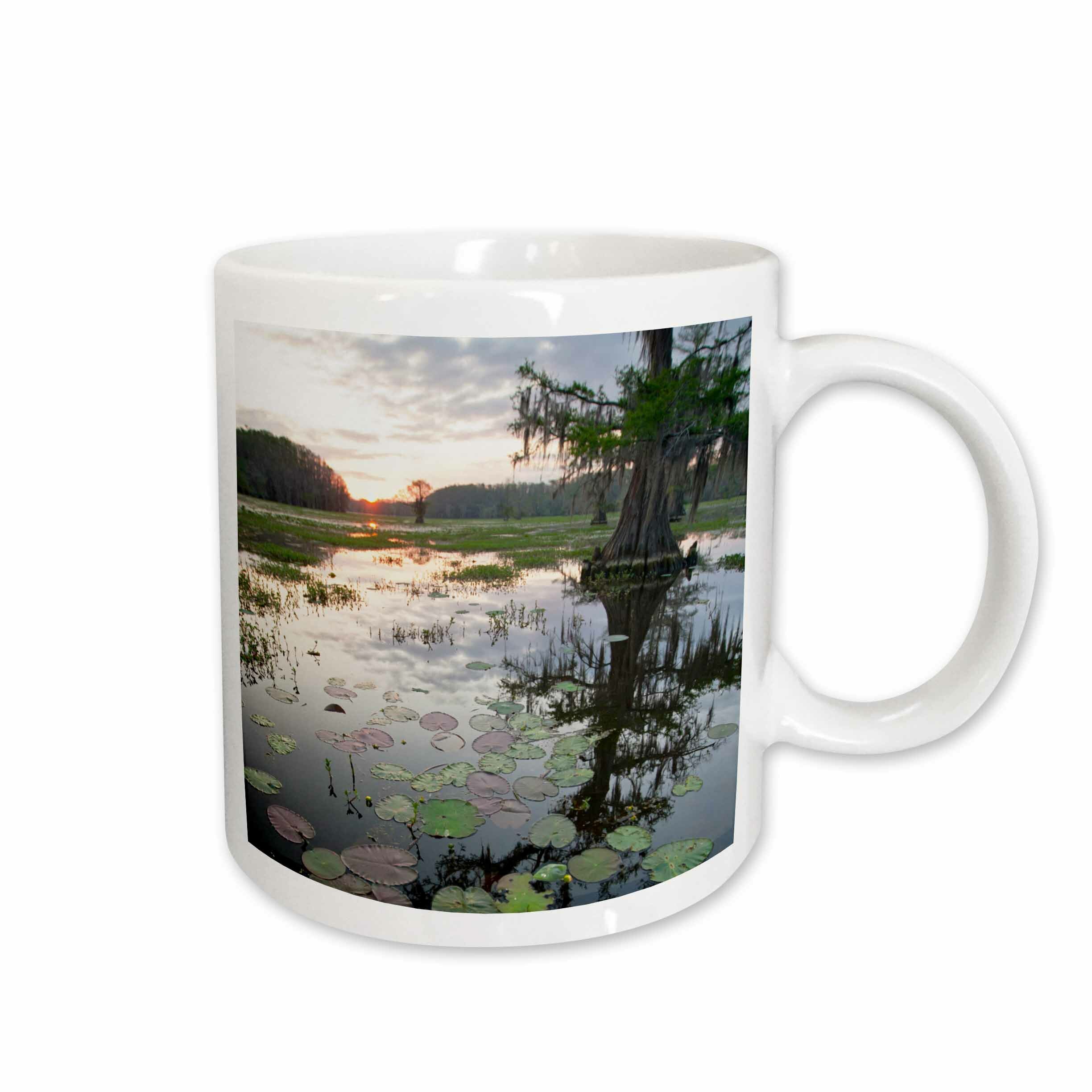 East Urban Home Sunrise Caddo Lake Texas Usa Coffee Mug Wayfair