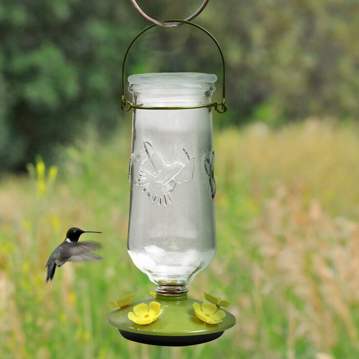 Yard Garden Outdoor Living Hanging Hummingbird Feeder Large Ant