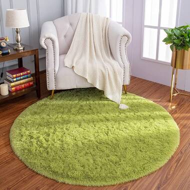 Grass Green Area Rug for Bedroom,5'X7',Fluffy Shag Rug for Living Room,Furry Carpet for Kids Room,Shaggy Throw Rug for Nursery Room,Fuzzy Plush Rug,Green Carpet,Rectangle,Cute Room Decor for Baby