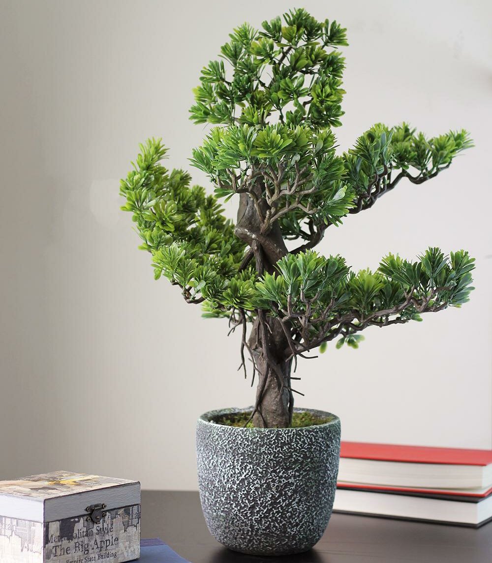 Northlight Decorative Artificial Desktop Japanese Bonsai Tree In Pot Wayfair