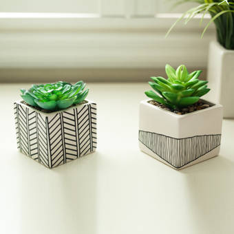 2 Artificial Agave Succulent In Pot Reviews Joss Main