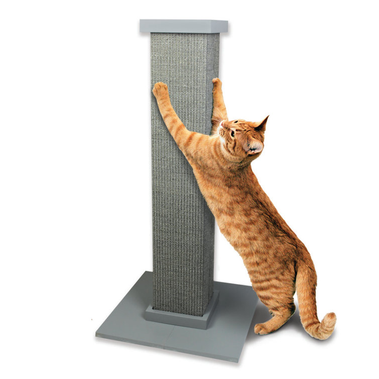 smartcat ultimate scratching post petsmart