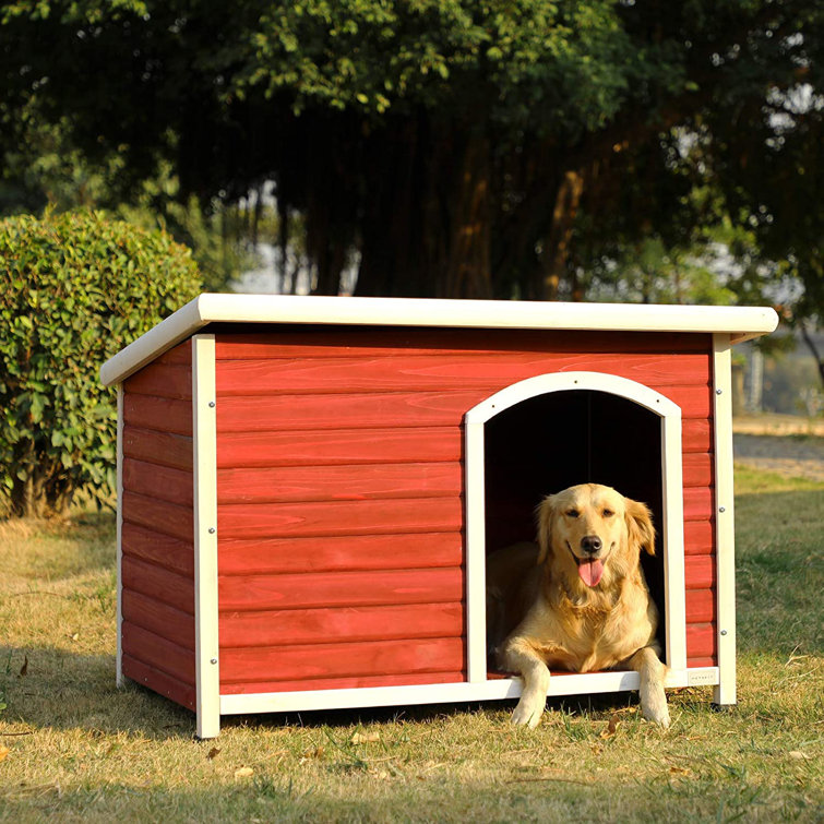 wayfair outdoor dog kennel