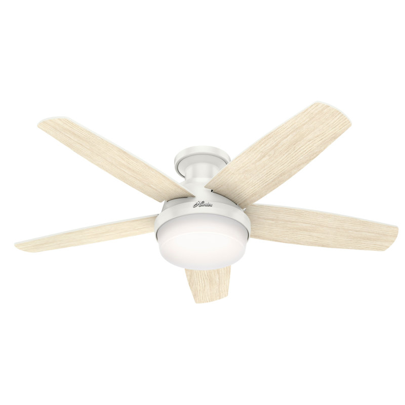 Hunter Fan 48 Avia 5 Blade Led Flush Mount Ceiling Fan With Remote Control And Light Kit Included Reviews Wayfair