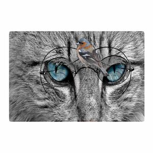Suzanne Carter Birds Eye View Fantasy Digital Gray/Blue Area Rug