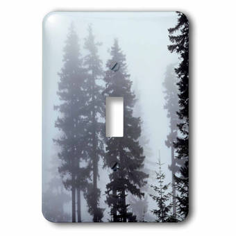 3drose Walking With Fairies In The Forest Victorian 1 Gang Duplex Outlet Wall Plate Wayfair