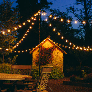 50-Light 50 ft. Globe String Lights
