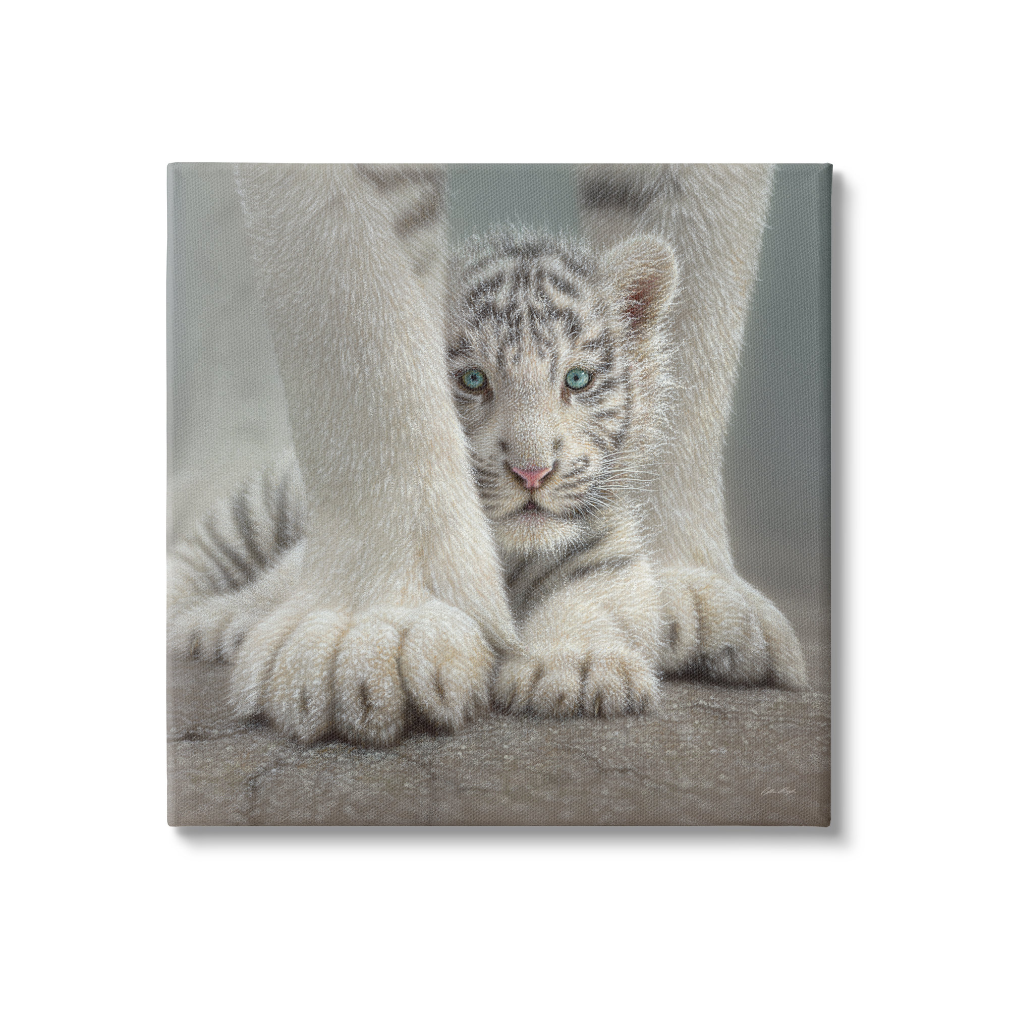 Stupell Industries Adorable Fuzzy Tiger Baby White Bengal With Mother ...