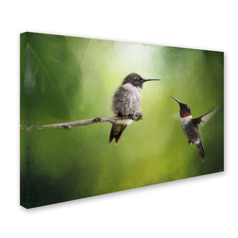 Trademark Art Wake Up Call Hummingbirds Graphic Art Print On Wrapped Canvas Wayfair