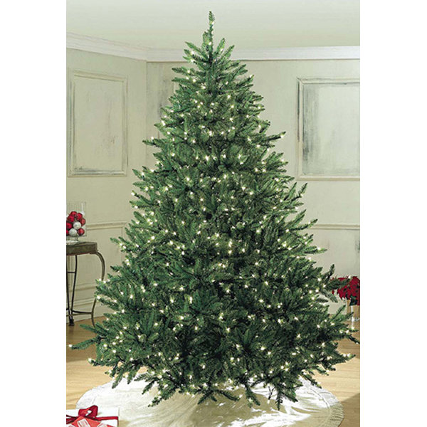 Sequoia Christmas Tree Lighting 2022 The Holiday Aisle® Sequoia Fir Pre-Lit Led 7.5' Green Artificial Christmas  Tree With 400 Clear/White Lights | Wayfair