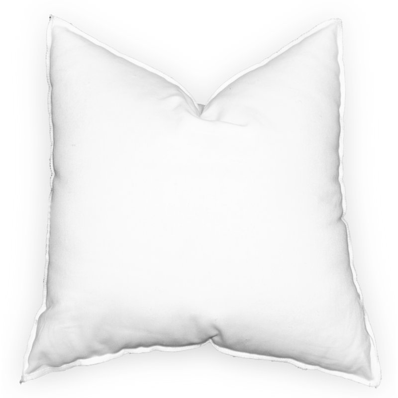 Symple Stuff Beckstead Pillow Insert Reviews Wayfair