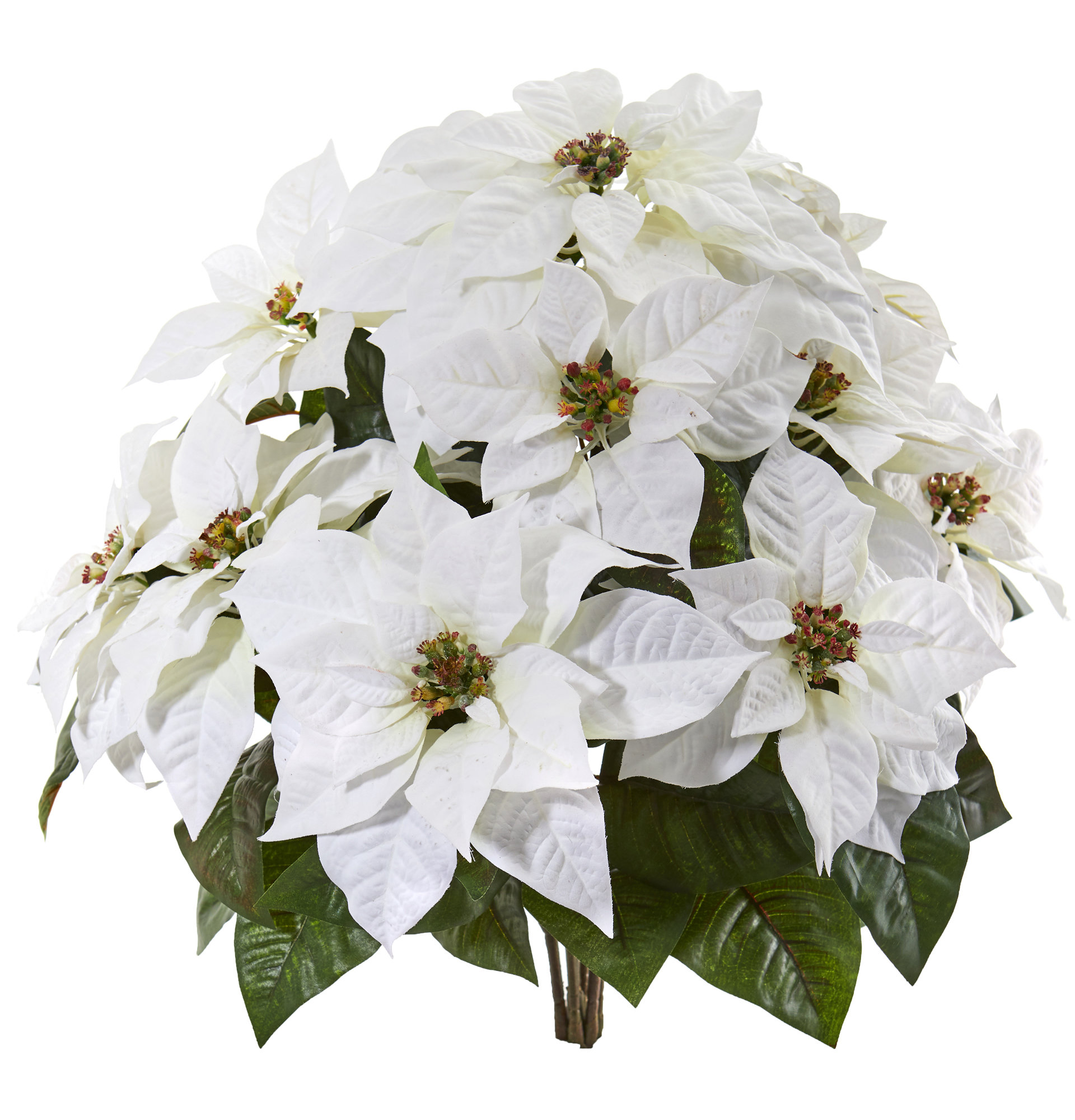 poinsettia floral arrangements