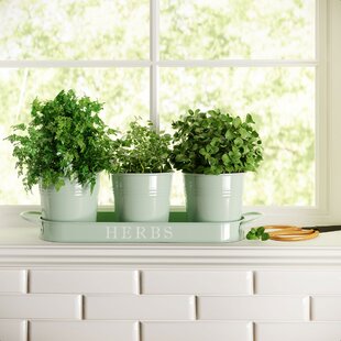 Soft Twist Plant Ties 5.5 Metre Garden Plants Greenhouse Gardening Window Box 
