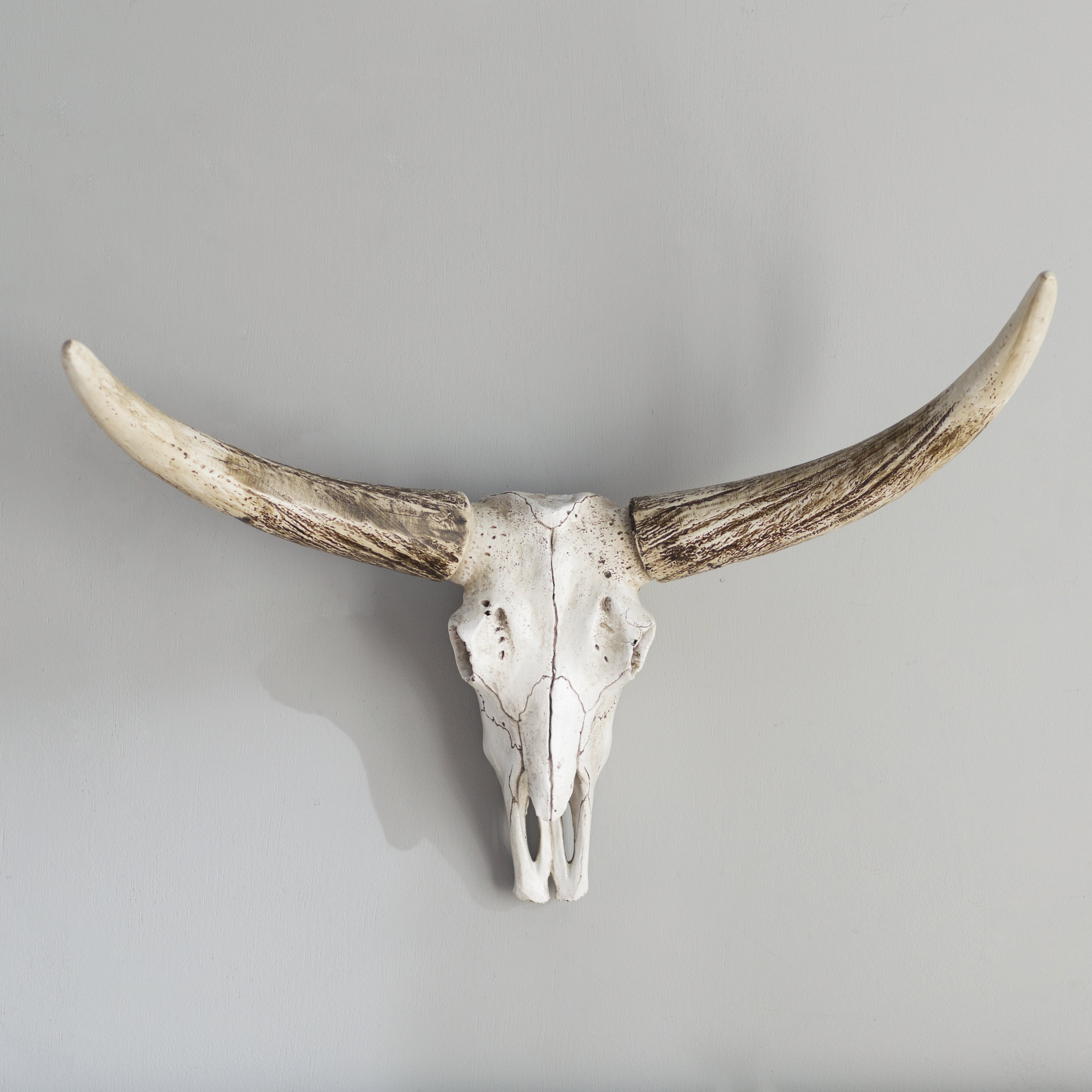 Taxidermy Sporting Goods Resin Leather Steer Skull Horns Wall Taxidermy Sporting Goods Resin Leather