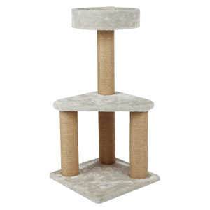 Ivan Scratching Post
