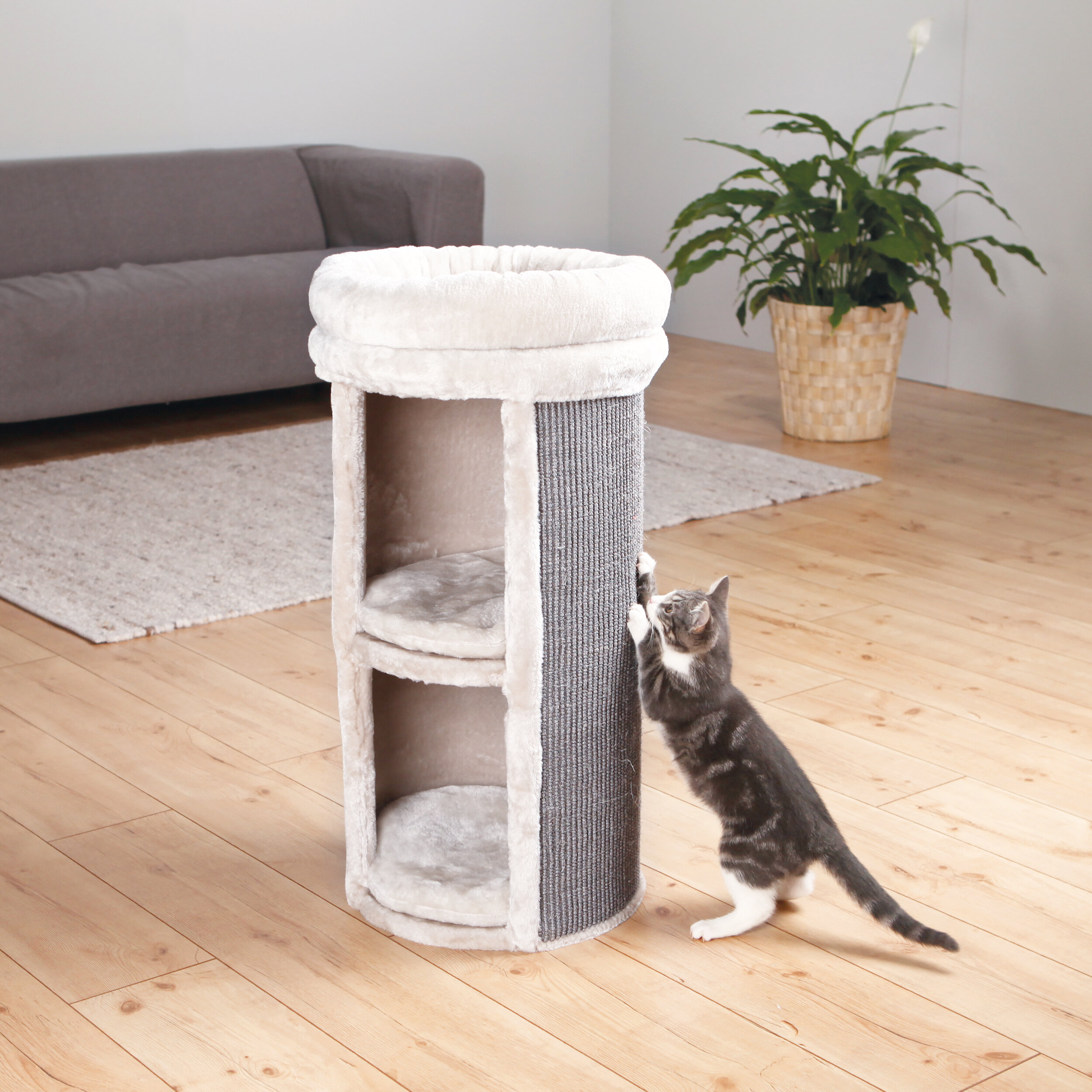 gray cat tower